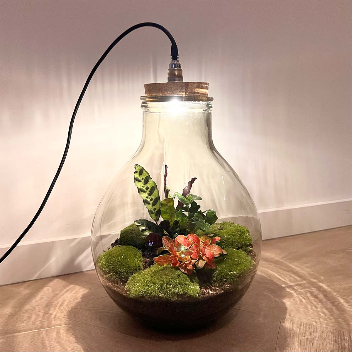 Terrarium DIY Kit - Big Paul Rood met Licht - Bottle Garden - ↑ 52 cm