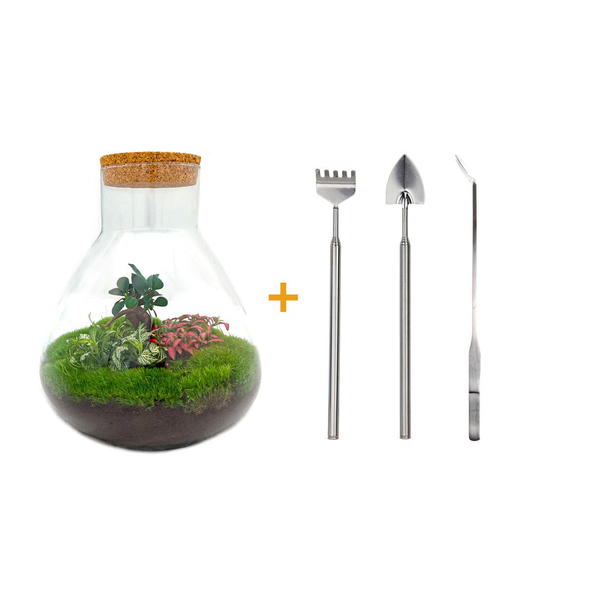 Terrarium DIY Kit - Sam XL Bonsai - Flessentuin - ↑ 35 cm