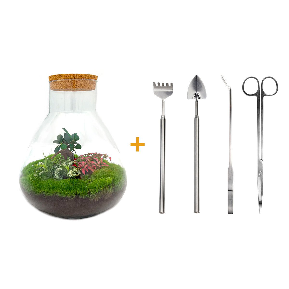 Terrarium DIY Kit - Sam XL Bonsai - Flessentuin - ↑ 35 cm