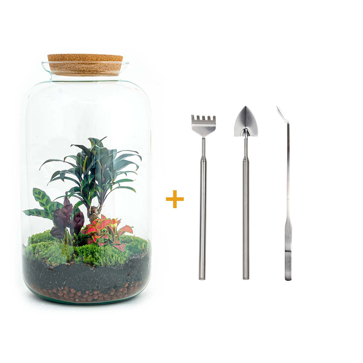 Terrarium DIY Kit - Sven Palm - Flessentuin - ↑ 43 cm