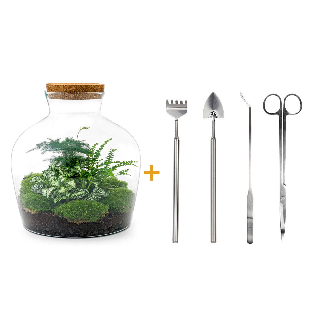 Terrarium DIY Kit - Fat Joe Red - Bottle Garden - ↑ 30 cm