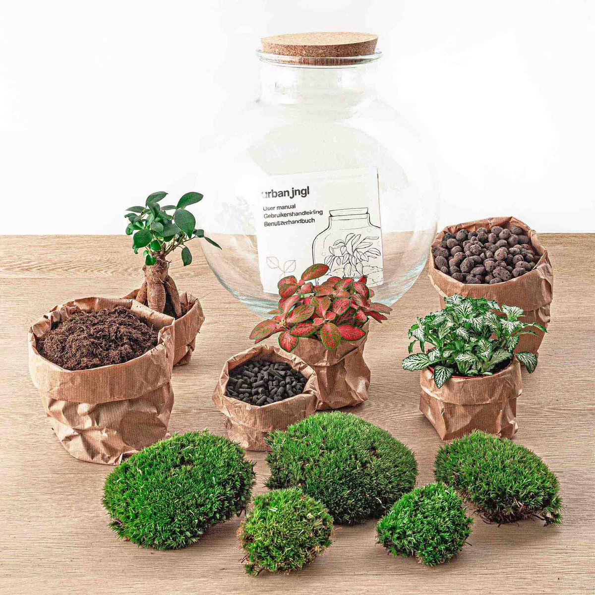 Terrarium DIY Kit - Bolder Bob Bonsai - Bottle Garden - ↑ 30 cm