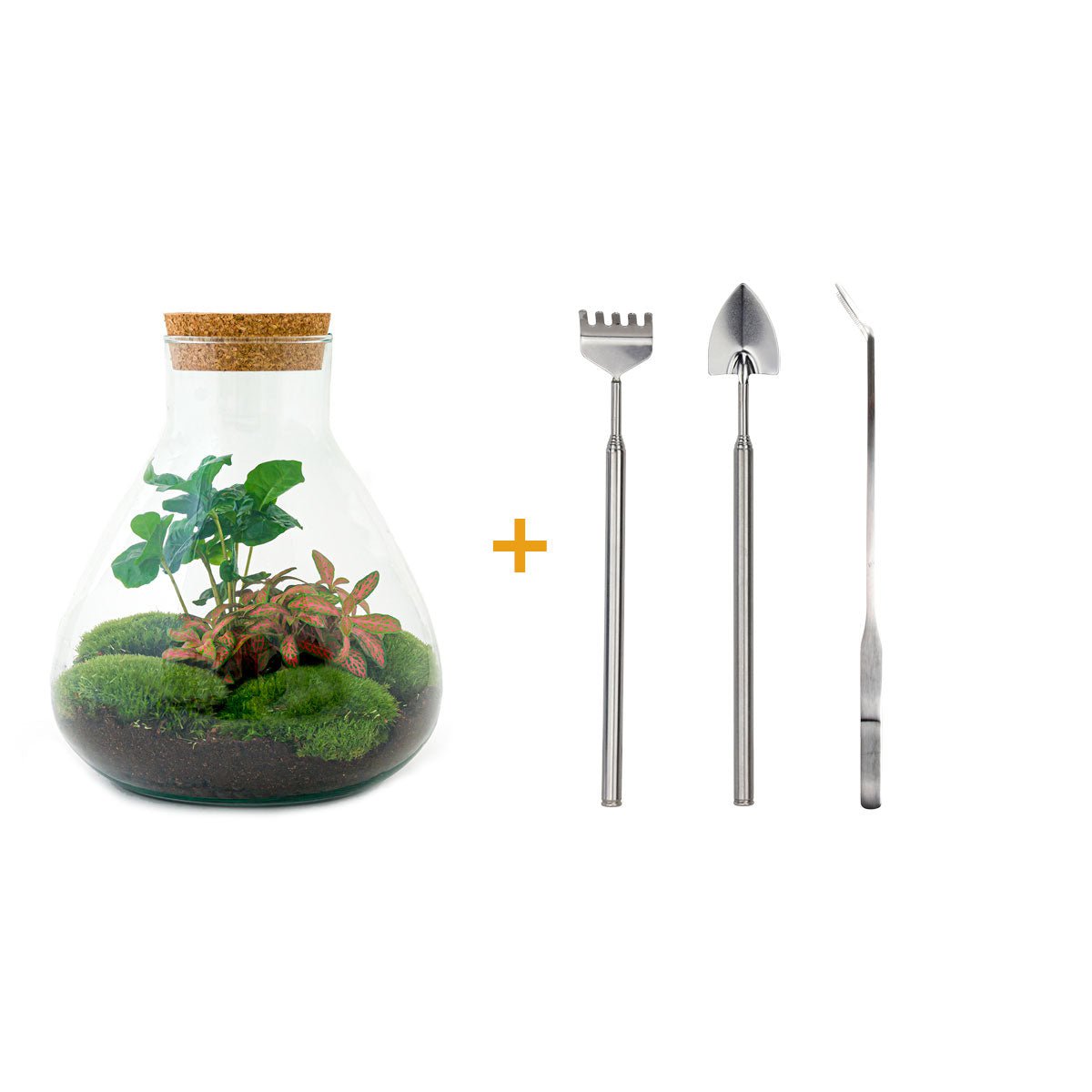 Terrarium DIY Kit - Sammie Coffea - Flessentuin - ↑ 27 cm