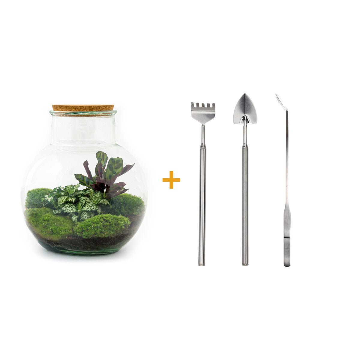 Terrarium DIY Kit - Teddy - Flessentuin - ↑ 26,5 cm