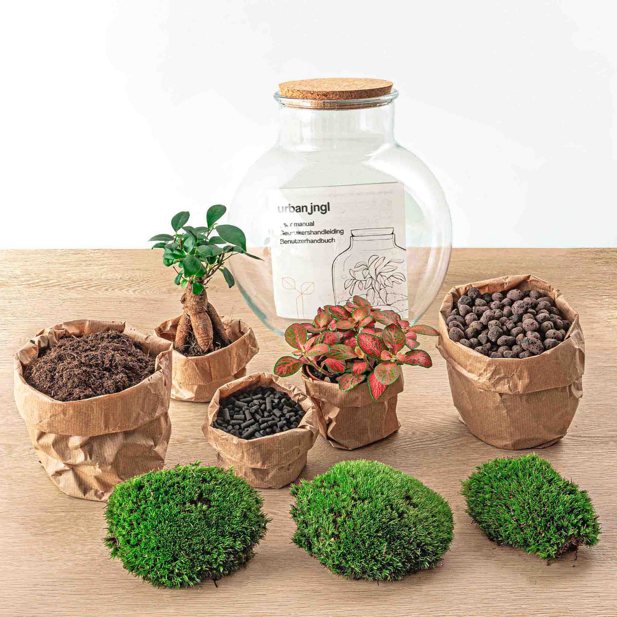 Terrarium DIY Kit - Teddy Bonsai - Flessentuin - ↑ 26,5 cm