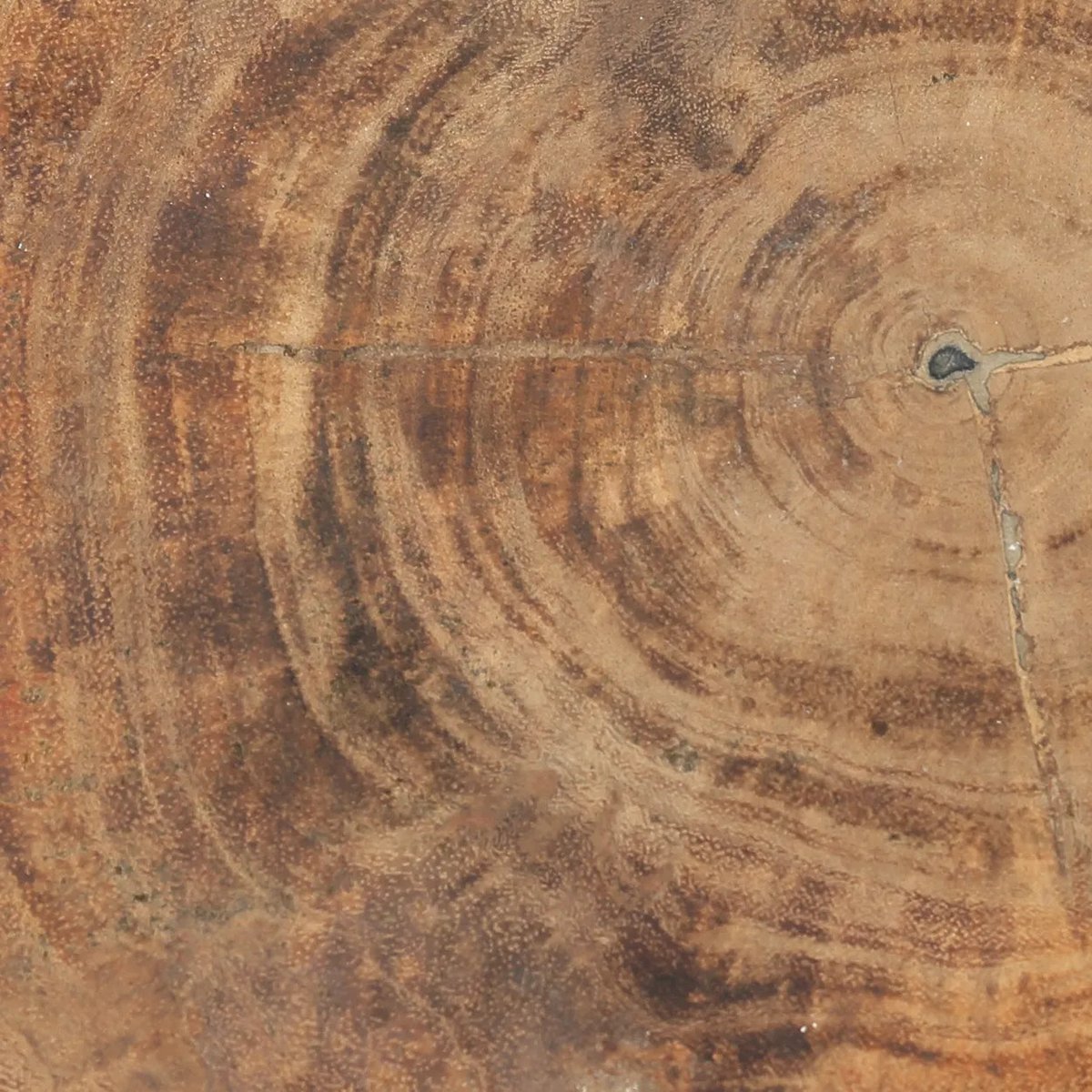 The Tribe Kruk - Natuurlijk Zwart