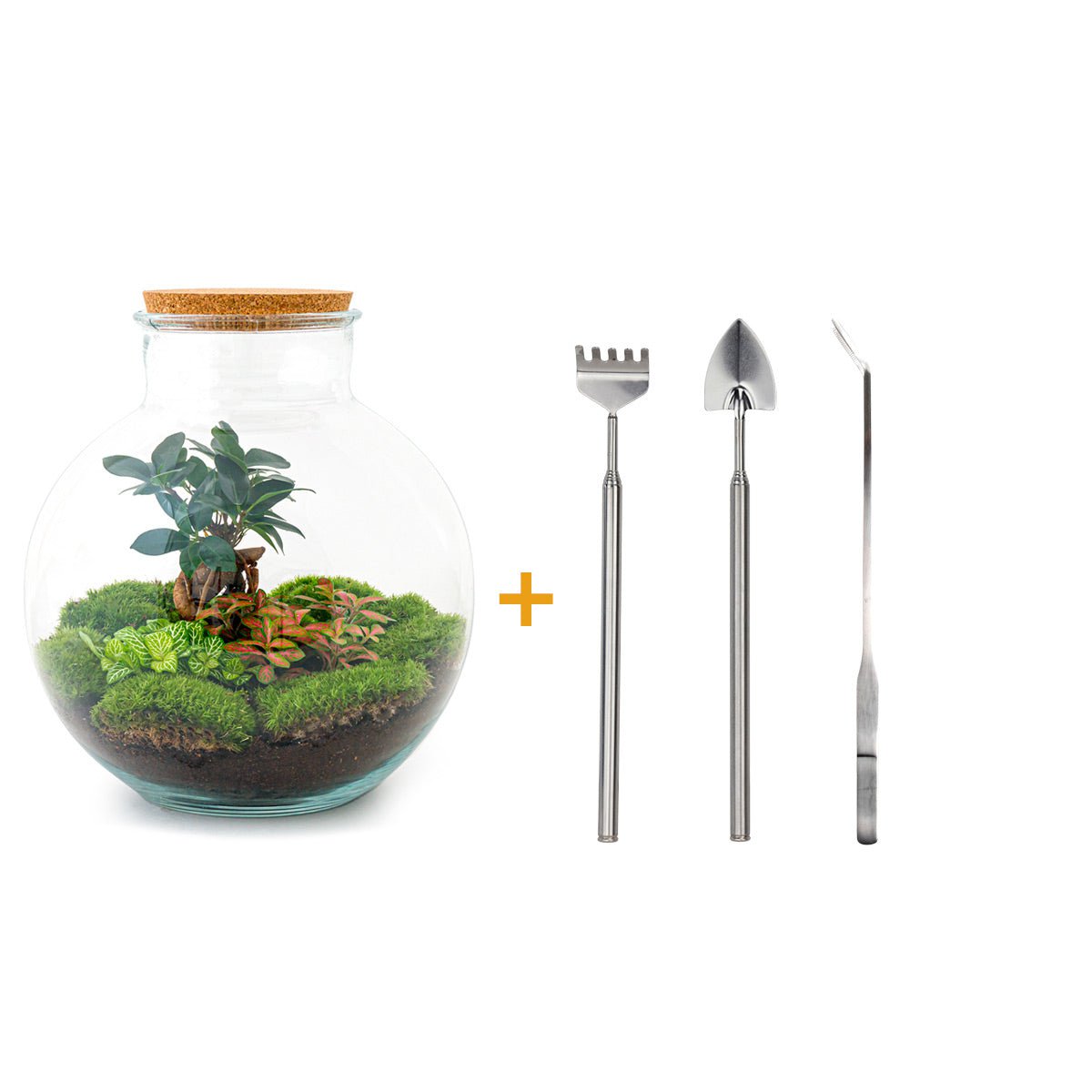 Terrarium DIY Kit - Bolder Bob Bonsai - Bottle Garden - ↑ 30 cm
