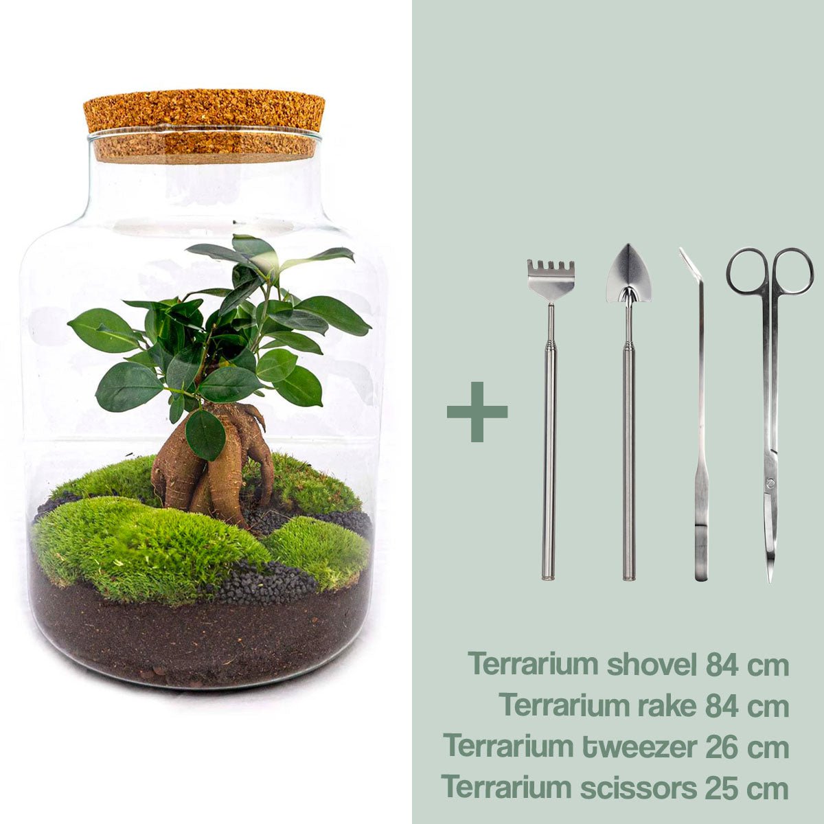 Terrarium DIY Kit - Melkachtig met Bonsai - Flessentuin - ↑ 30 cm