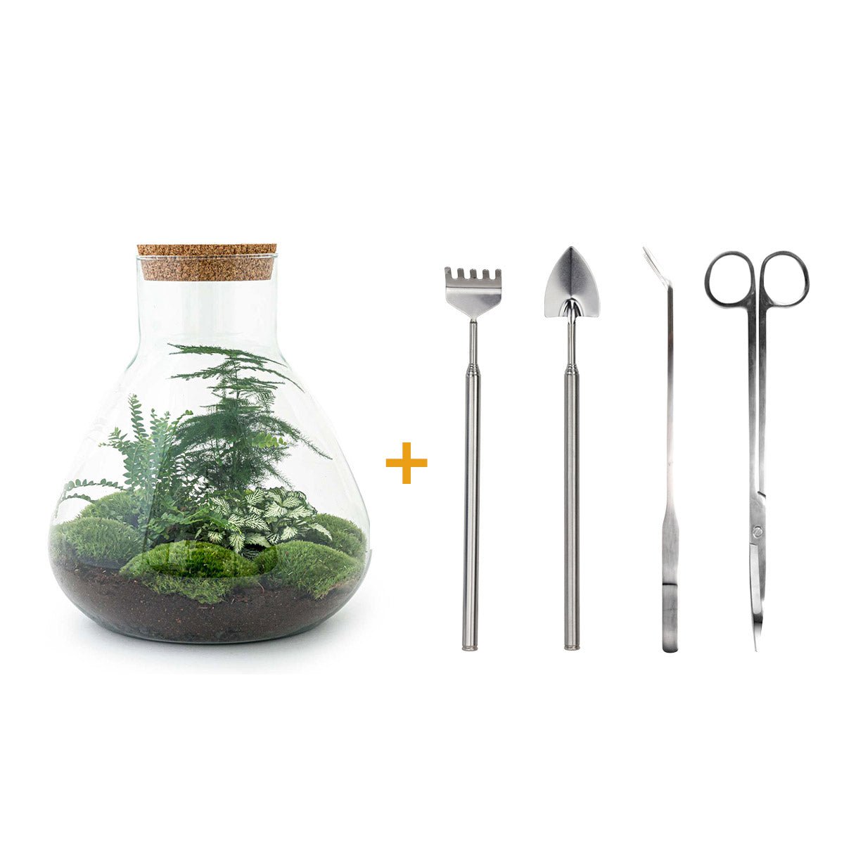 Terrarium bouwpakket - Sam XL - Bottle Garden - ↑ 35 cm