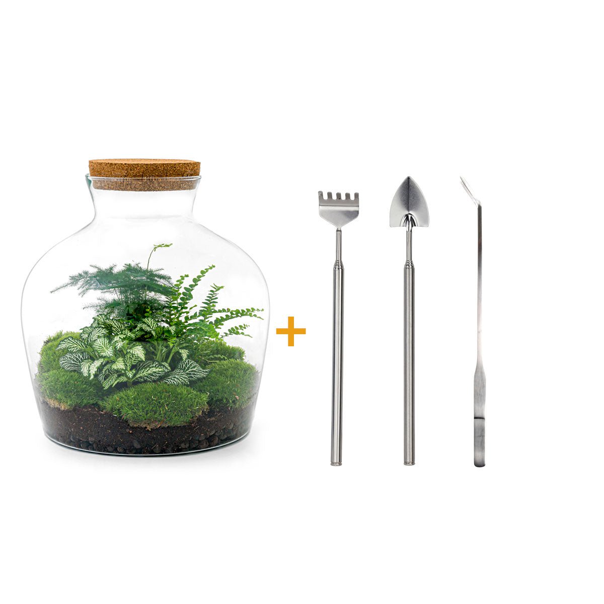 Terrarium DIY Kit - Fat Joe Red - Bottle Garden - ↑ 30 cm