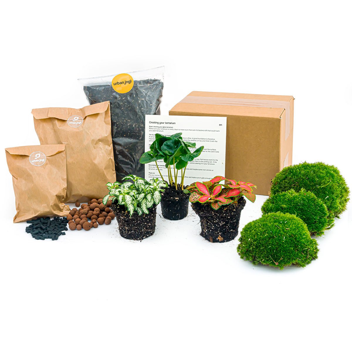 Plantenterrariumpakket - Coffea Arabica - 3 terrariumplanten - Navul- & Startpakket - DIY Terrariumpakket