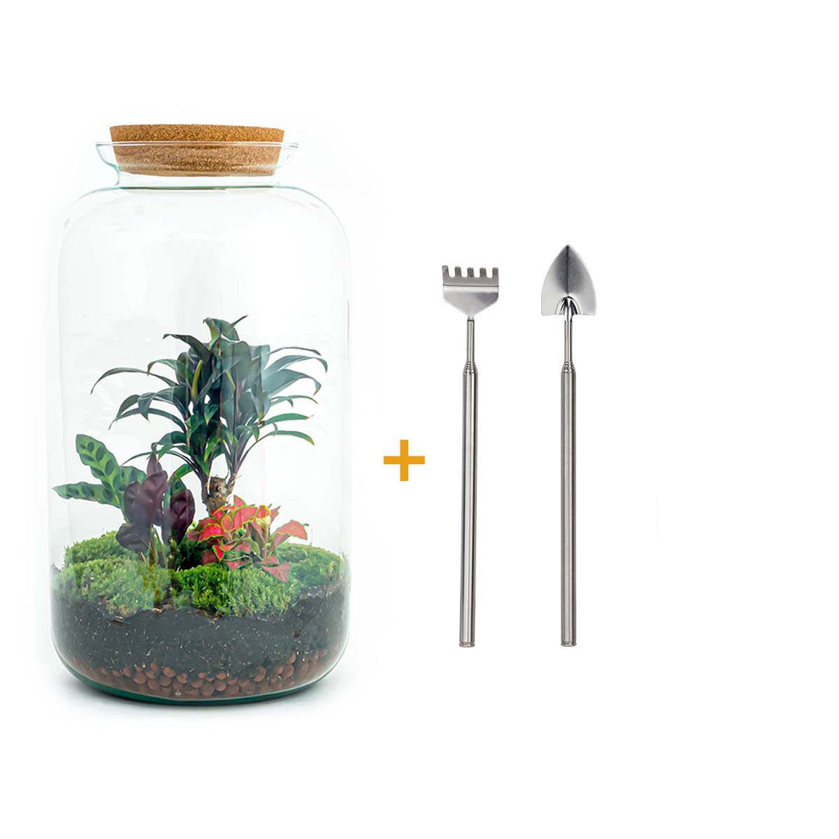 Terrarium DIY Kit - Sven Palm - Flessentuin - ↑ 43 cm