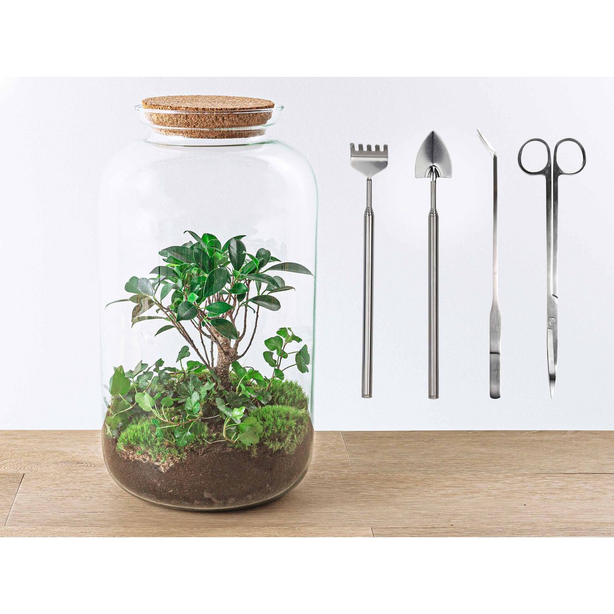 Terrarium DIY Kit - Sven Hedera Bonsai - Flessentuin - ↑ 43 cm