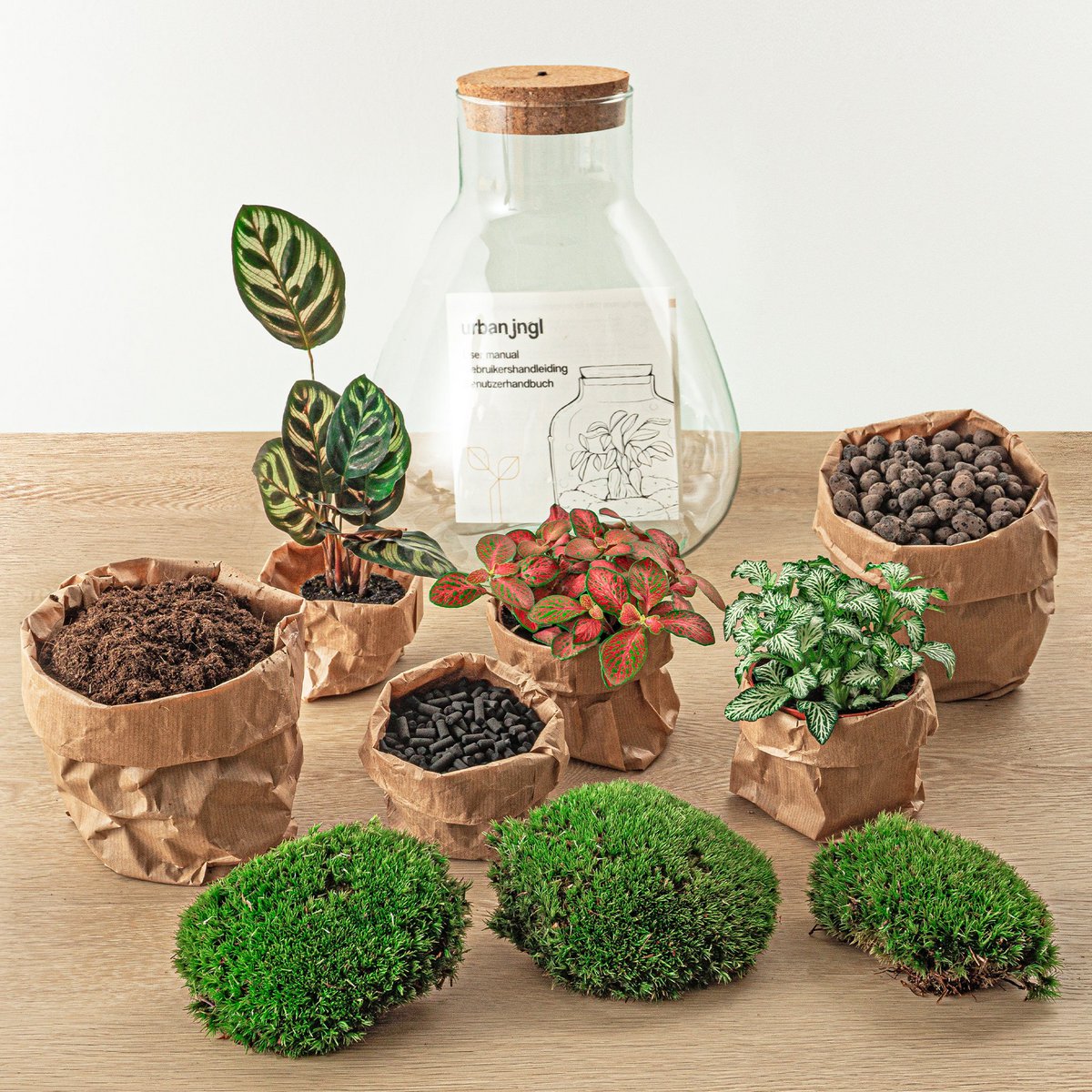 Terrarium DIY Kit - Sam Calathea met licht - Flessentuin - ↑ 30 cm
