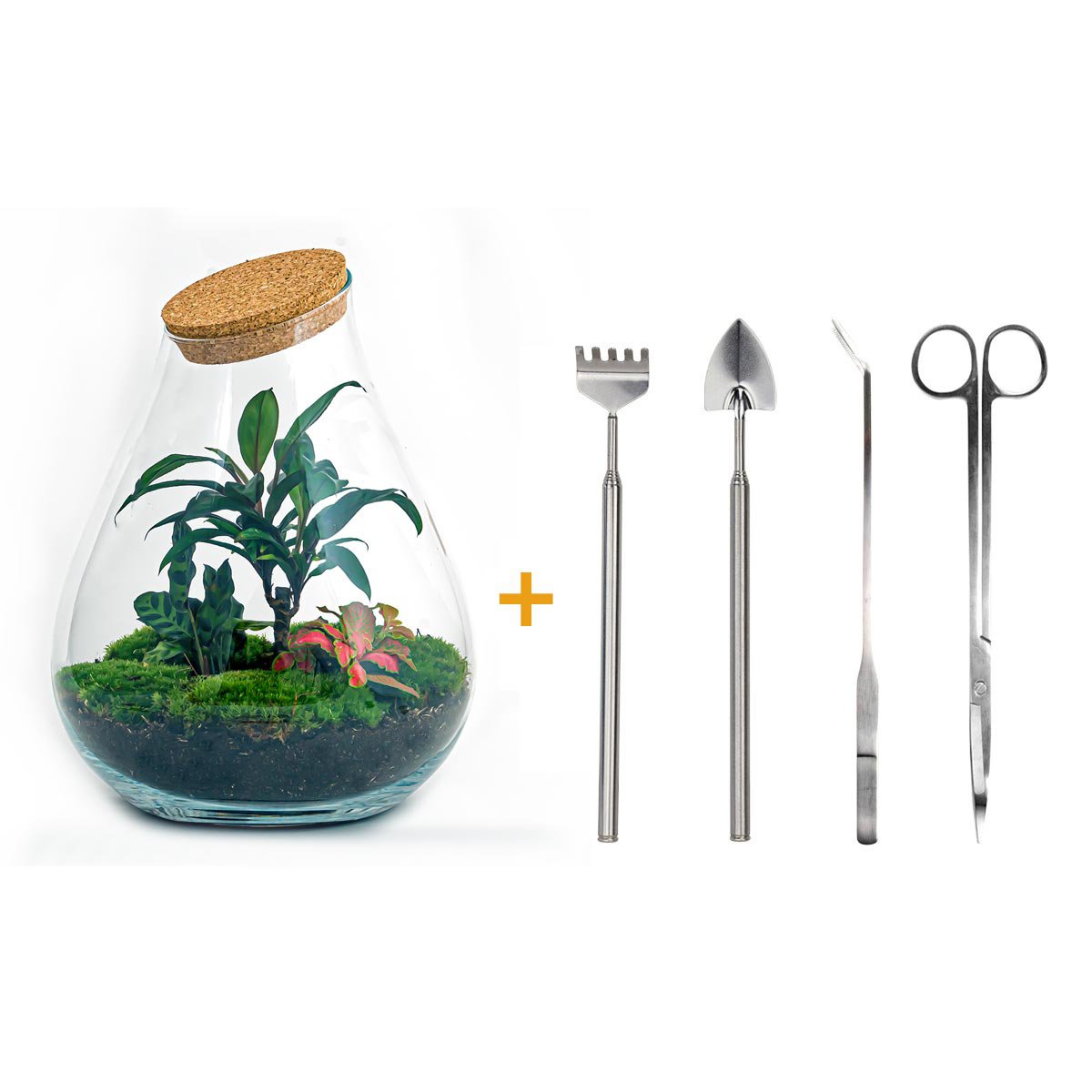 Terrarium DIY Kit - Drop XL Palm - Flessentuin - ↑ 37 cm