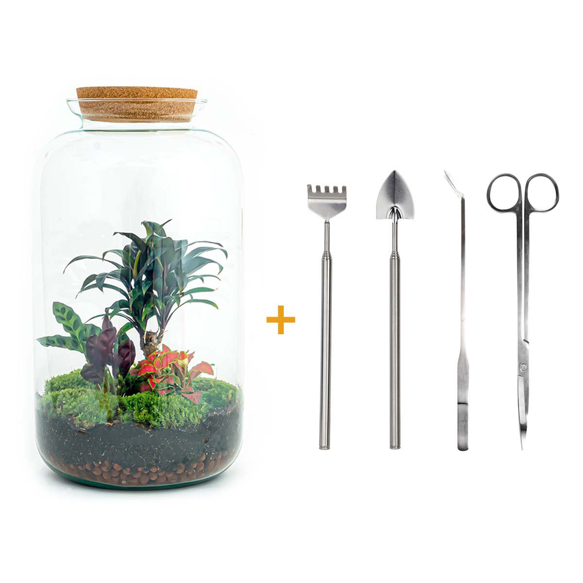 Terrarium DIY Kit - Sven Palm - Flessentuin - ↑ 43 cm