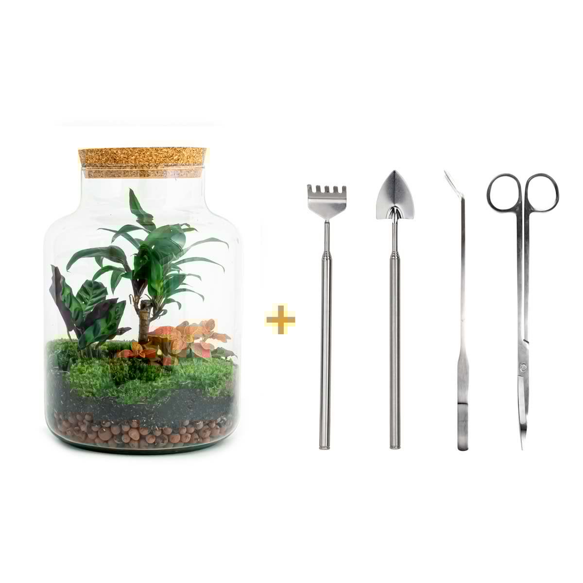 Terrarium DIY Kit - Melkachtige Palm - Flessentuin - ↑ 30 cm