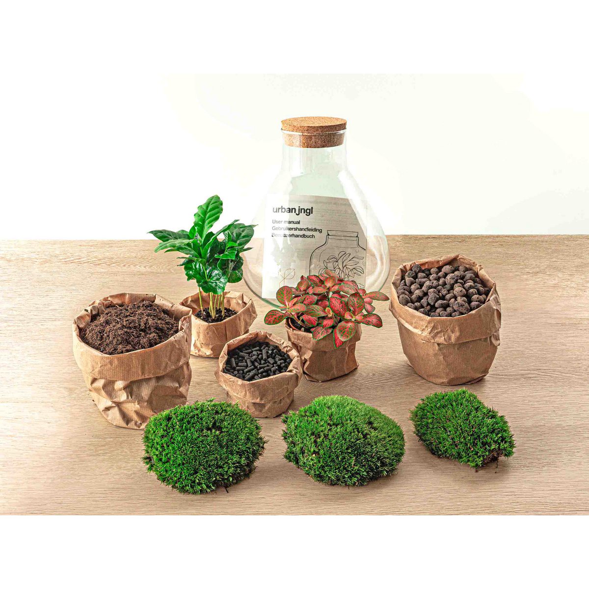 Terrarium DIY Kit - Sammie Coffea - Flessentuin - ↑ 27 cm