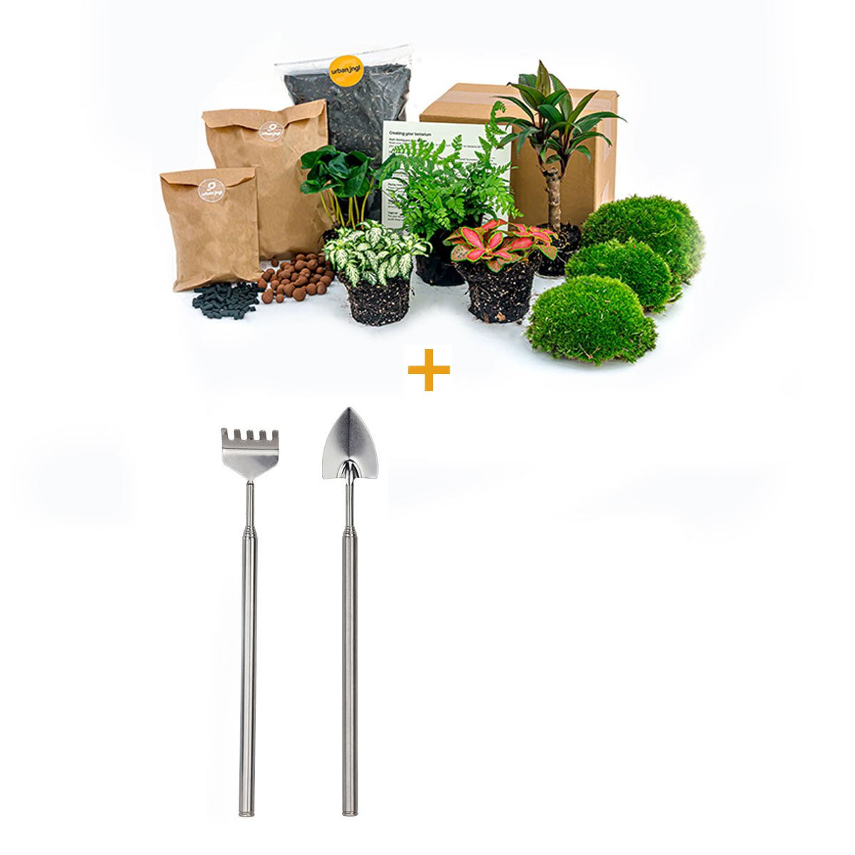 Plantenterrariumpakket - Jungle 5 - Navul- & Startpakket - DIY Terrarium Kit