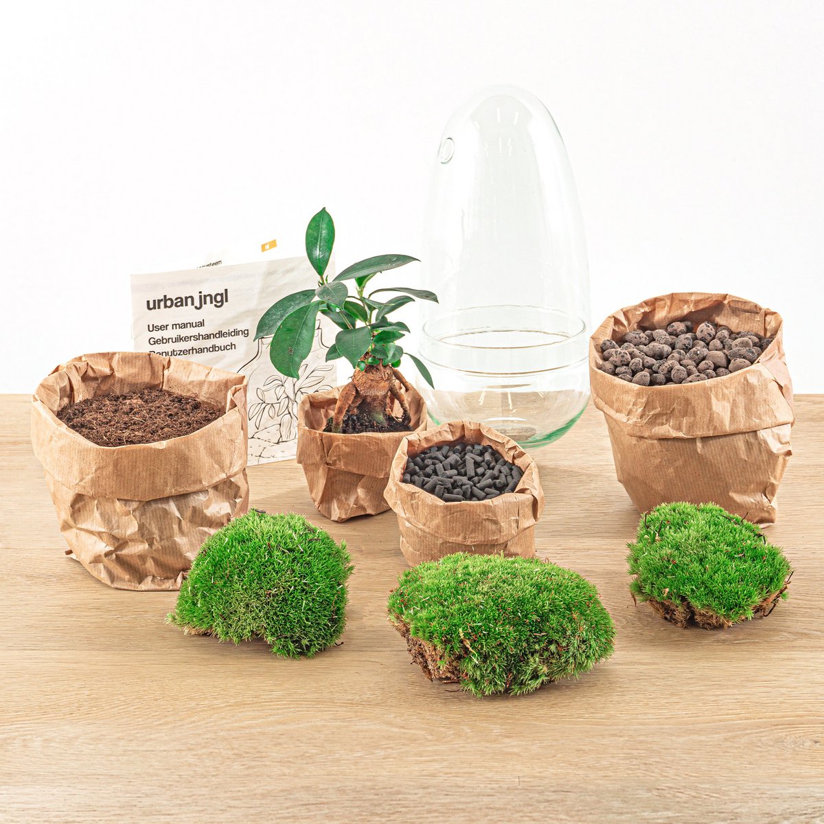 Terrarium DIY Kit - Eierbonsai - Flessentuin - ↑ 25 cm