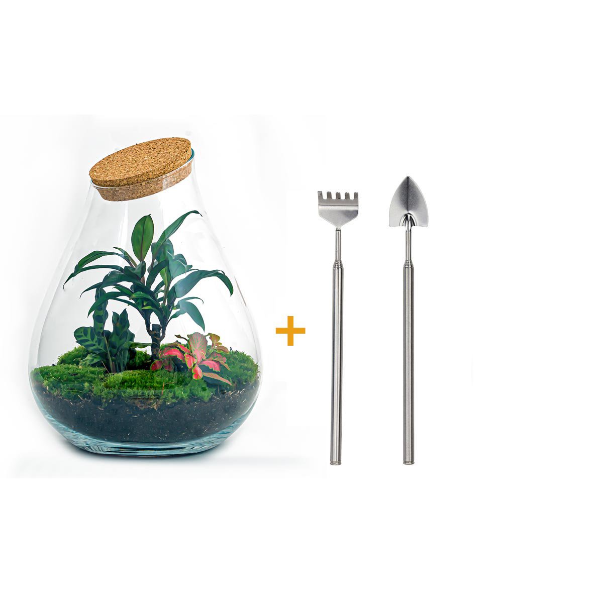 Terrarium DIY Kit - Drop XL Palm - Flessentuin - ↑ 37 cm