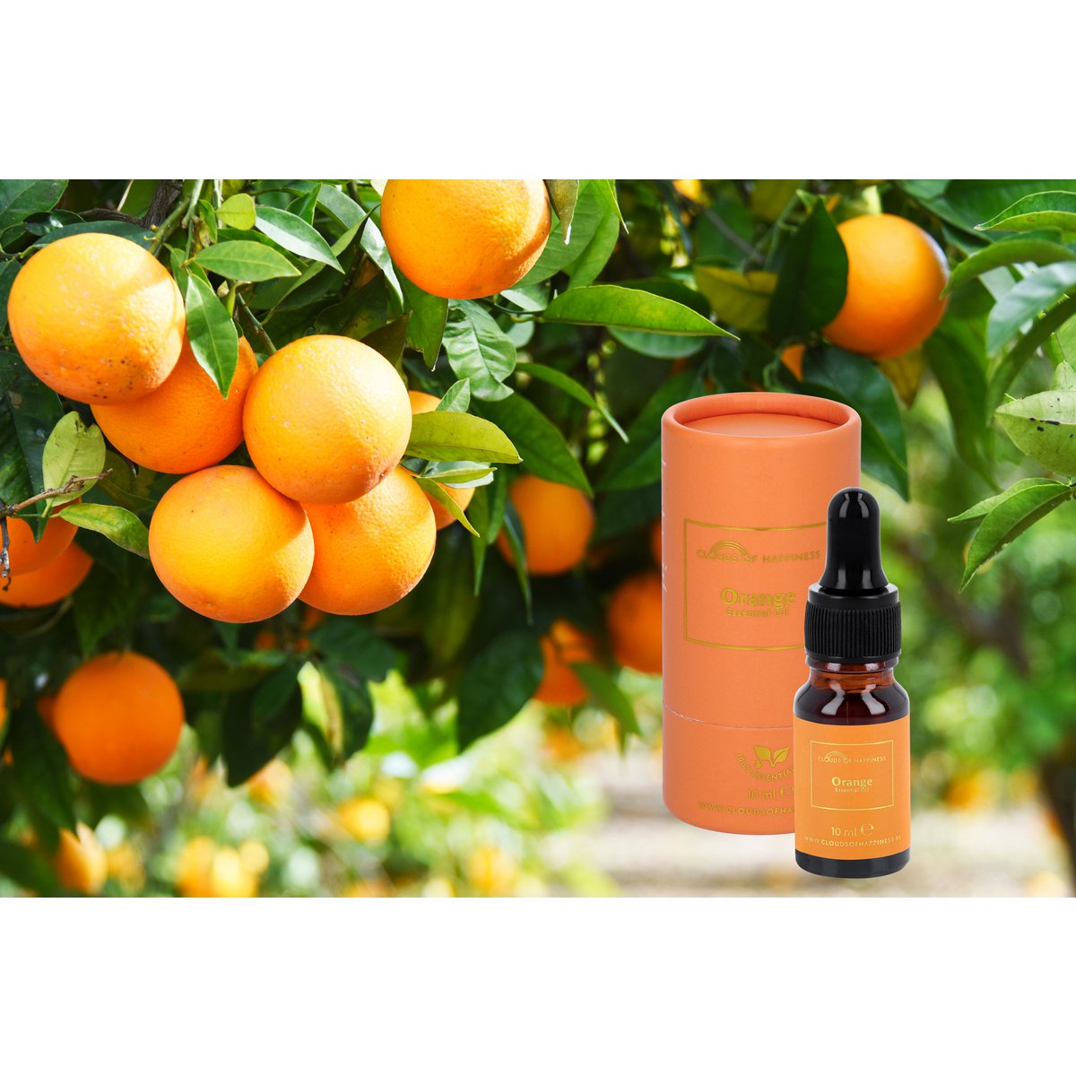 3 Essential Oils Eucalyptus + BIO Lavender + Orange