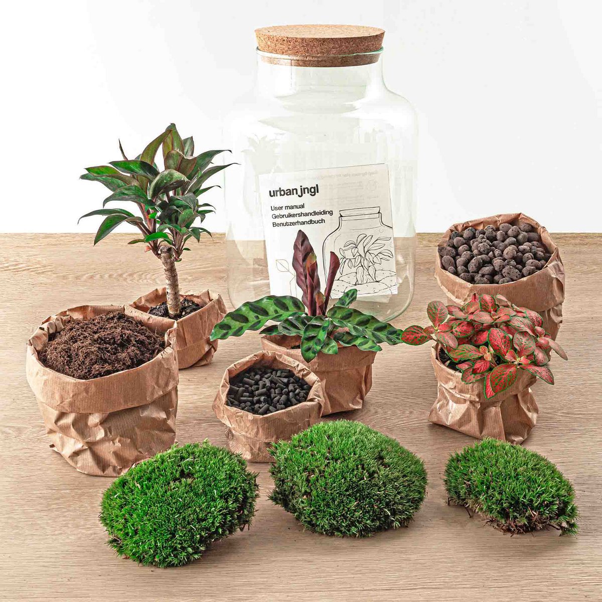 Terrarium DIY Kit - Melkachtige Palm - Flessentuin - ↑ 30 cm