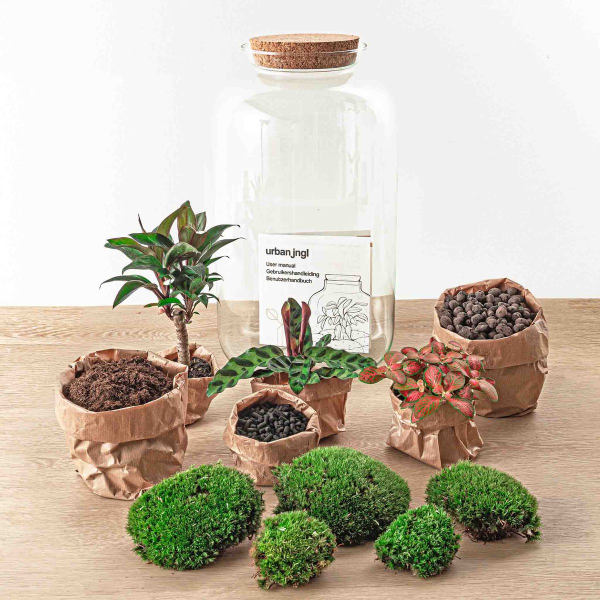 Terrarium DIY Kit - Sven Palm - Flessentuin - ↑ 43 cm