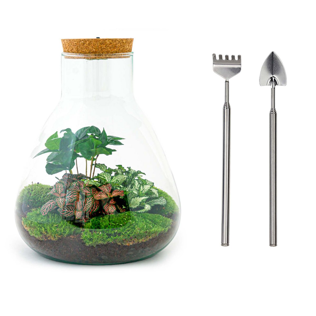 Terrarium DIY Kit- Sam Coffea met licht - Flessentuin - ↑ 30 cm