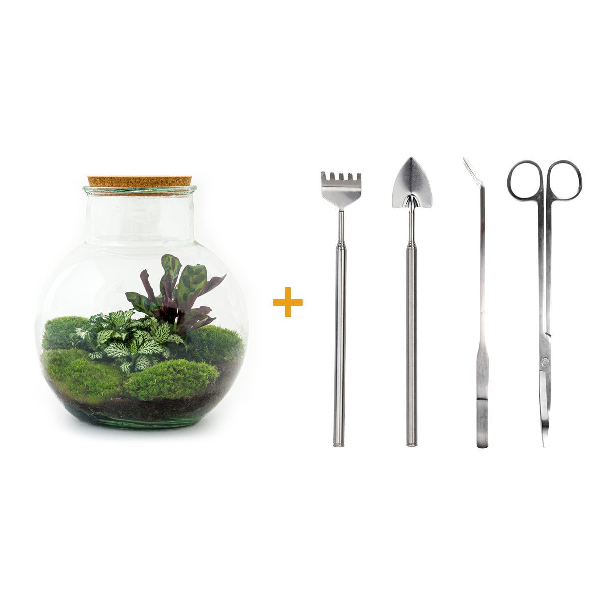 Terrarium DIY Kit - Teddy - Flessentuin - ↑ 26,5 cm