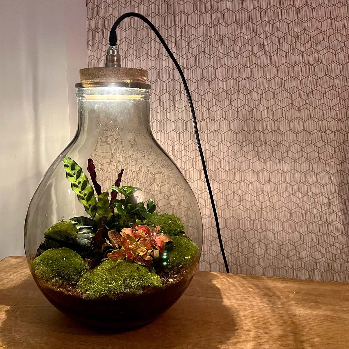 Terrarium DIY Kit - Big Paul Rood met Licht - Bottle Garden - ↑ 52 cm