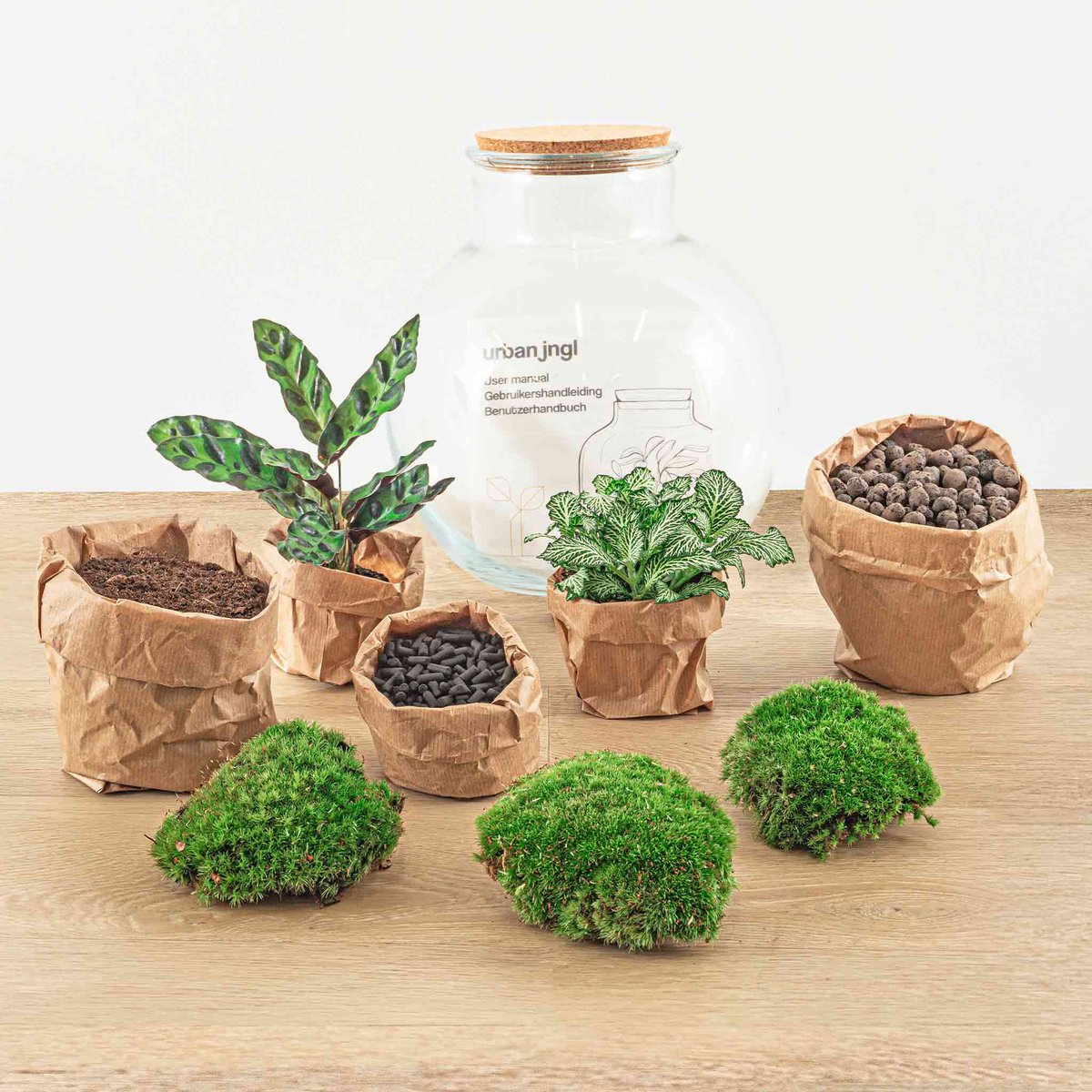 Terrarium DIY Kit - Teddy - Flessentuin - ↑ 26,5 cm