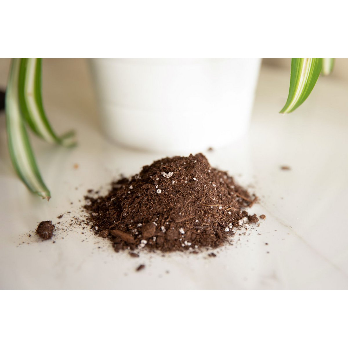 Terrariumpotgrond - 0,75 liter - Met biologische voeding