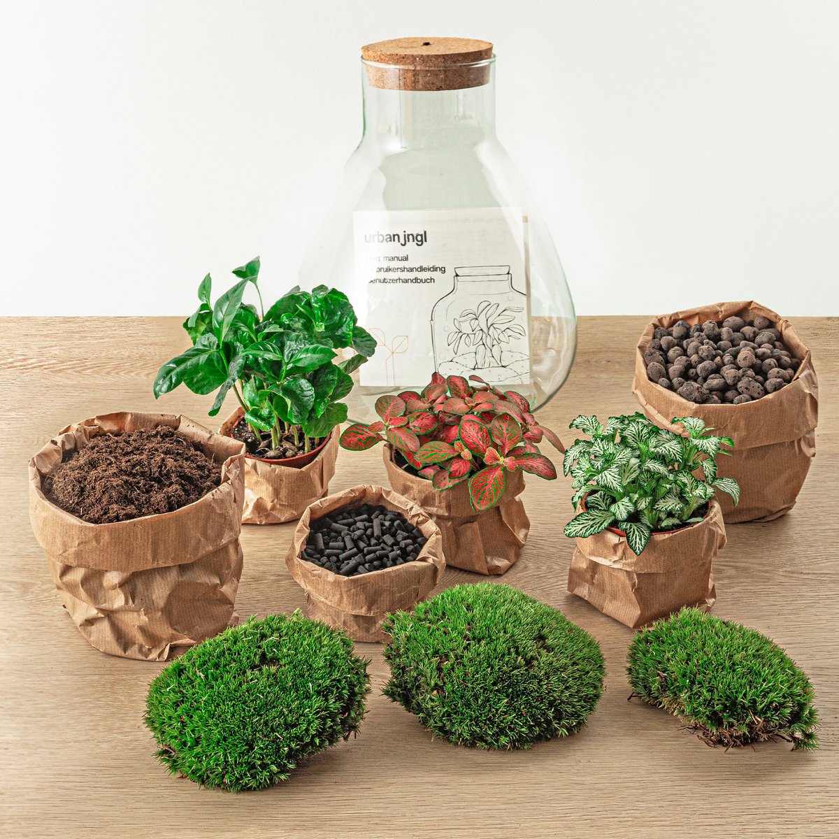Terrarium DIY Kit- Sam Coffea met licht - Flessentuin - ↑ 30 cm