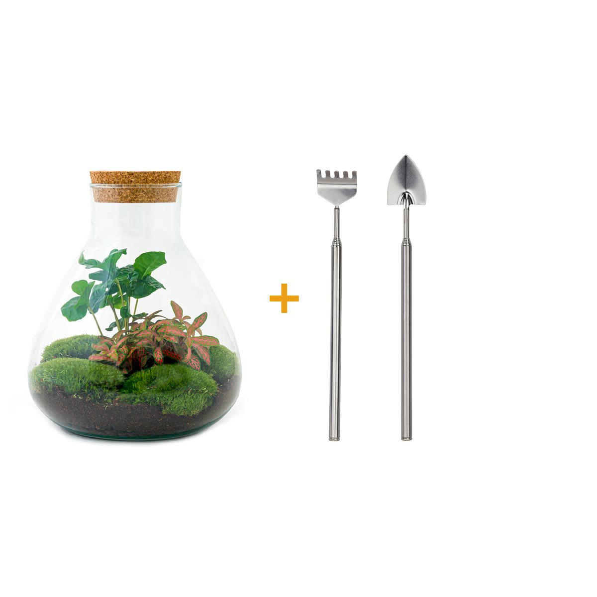Terrarium DIY Kit - Sammie Coffea - Flessentuin - ↑ 27 cm