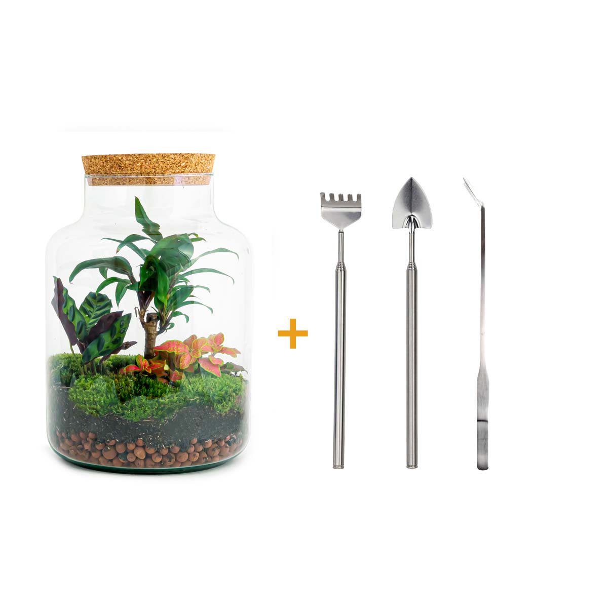 Terrarium DIY Kit - Melkachtige Palm - Flessentuin - ↑ 30 cm