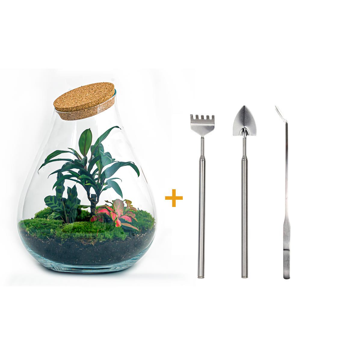 Terrarium DIY Kit - Drop XL Palm - Flessentuin - ↑ 37 cm