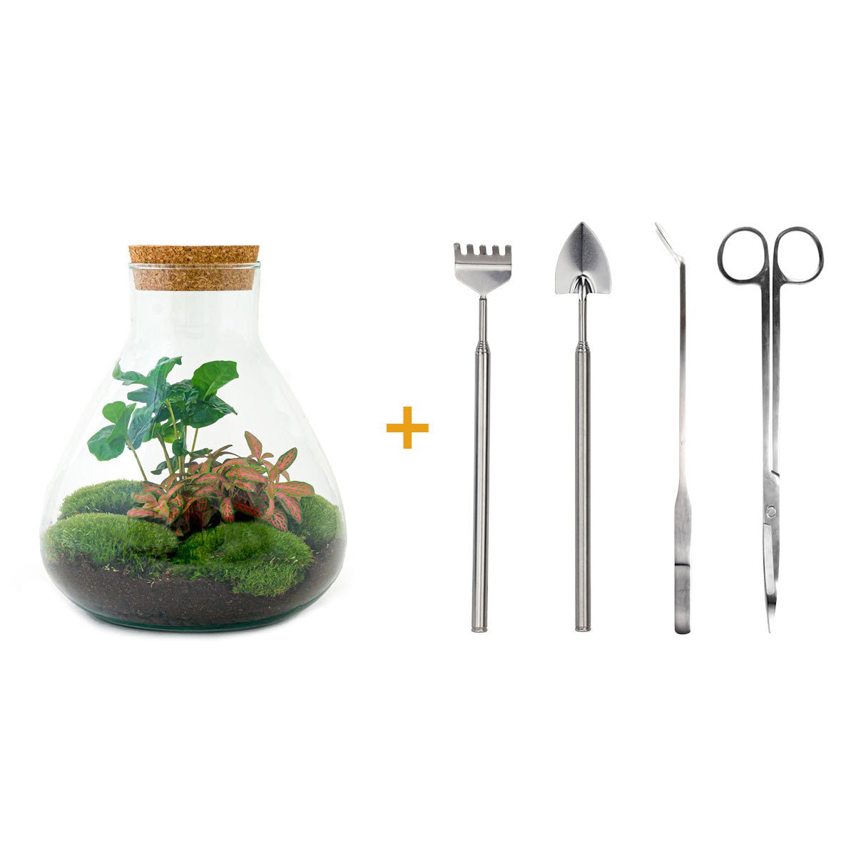 Terrarium DIY Kit - Sammie Coffea - Flessentuin - ↑ 27 cm