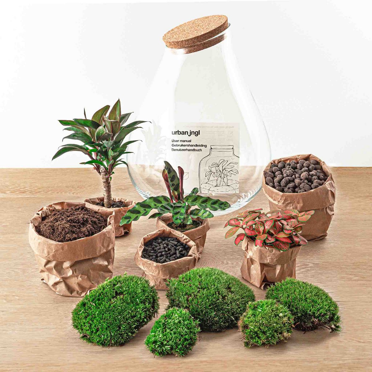 Terrarium DIY Kit - Drop XL Palm - Flessentuin - ↑ 37 cm