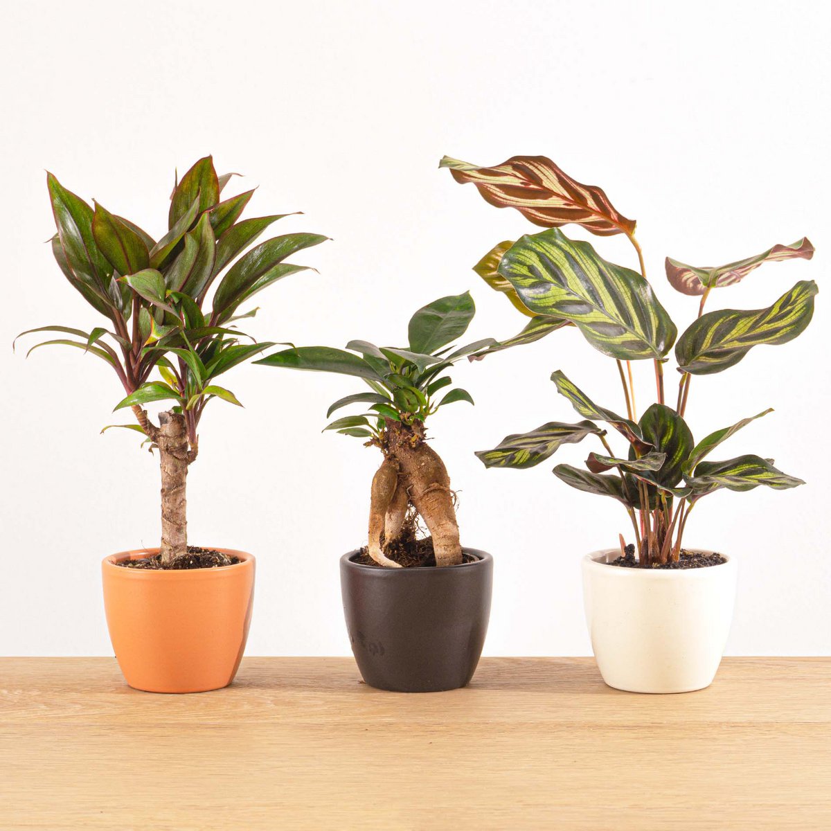 Minipotje - Antraciet mat - 7 cm
