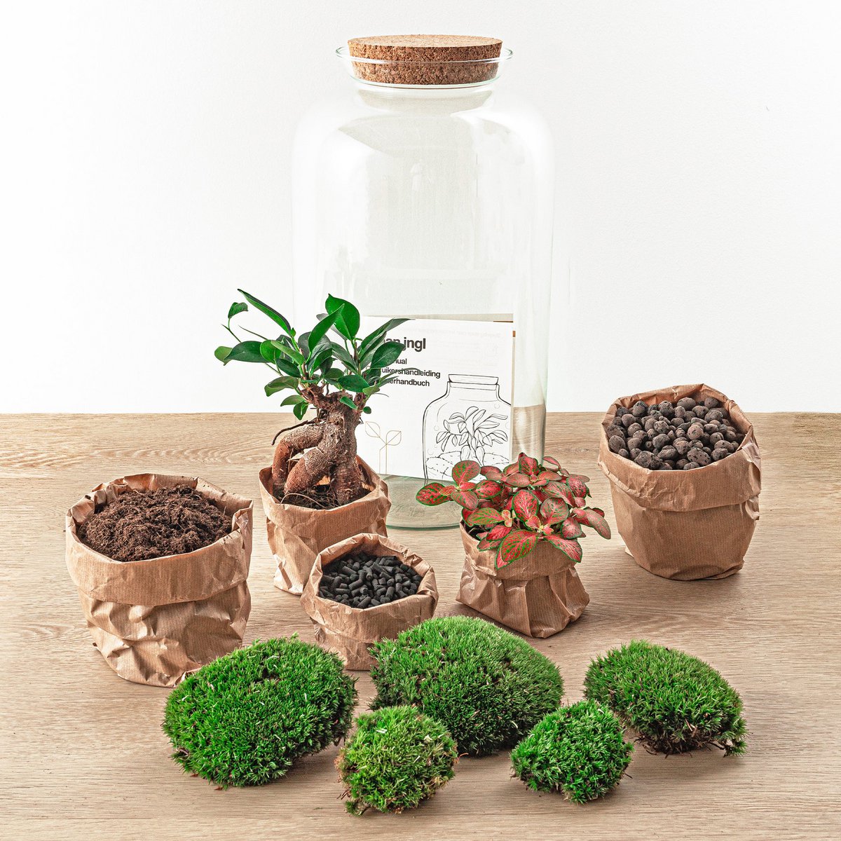 Terrarium DIY Kit - Sven Ginseng Bonsai - Flessentuin - ↑ 43 cm