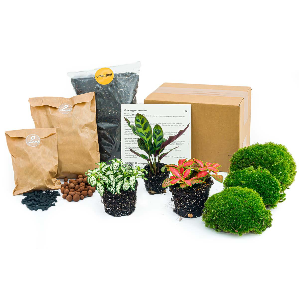 Plantenterrariumpakket - Calathea Lancifolia - 3 terrariumplanten - Navul- & Startpakket - DIY Terrariumpakket