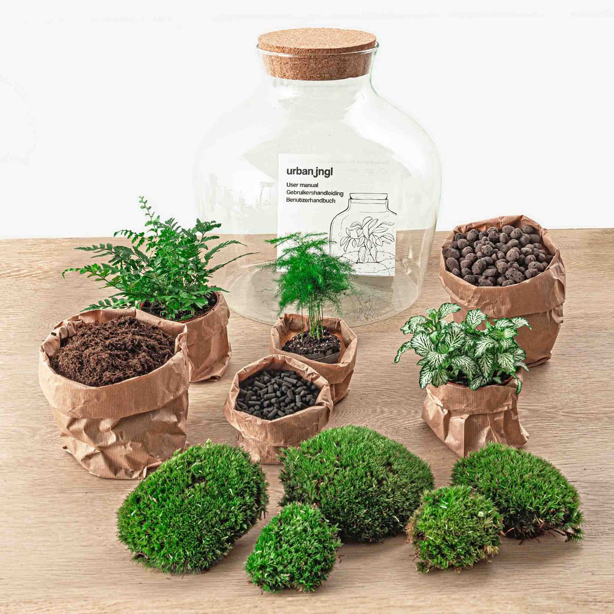 Ecosysteem plant - Fat Joe Groen - Planten terrarium - ↑ 30 cm