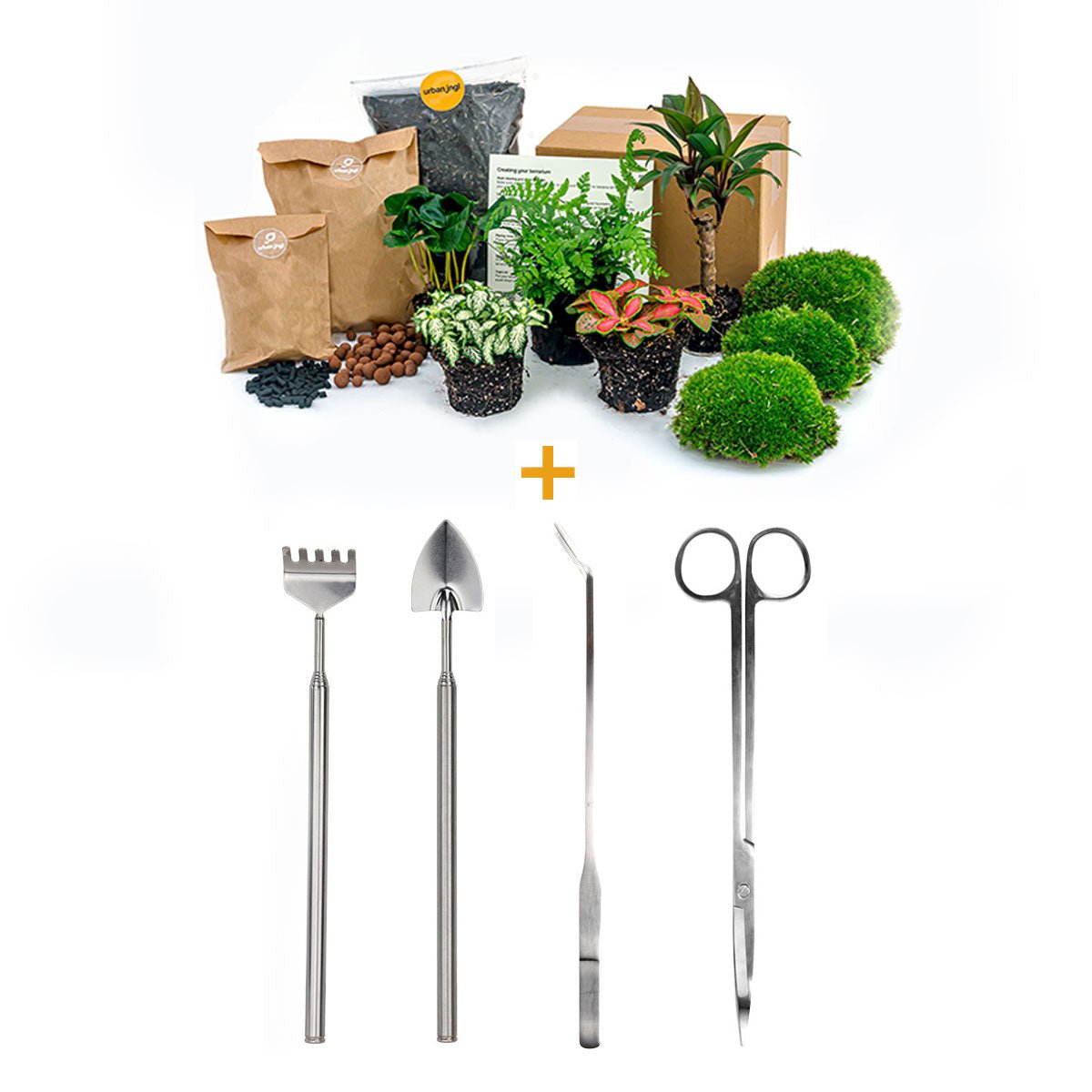 Plantenterrariumpakket - Jungle 5 - Navul- & Startpakket - DIY Terrarium Kit